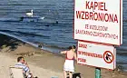 Plaża w śródmieściu Gdyni znowu zamknięta
