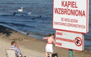 Plaża w śródmieściu Gdyni znowu zamknięta