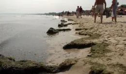 Wysypka i bąble po kąpieli w Bałtyku