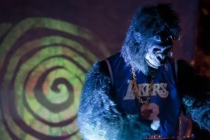 Koncerty na dworcu i kino w banku. Rusza festiwal Transvizualia