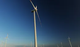 Energa przejmie farmy wiatrowe Iberdroli i DONG-a?