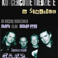 Koncertowa niedziela w Śledziku