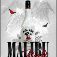 Malibu Night