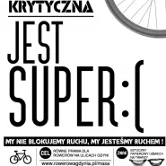 Lutowa Masa Krytyczna 2013