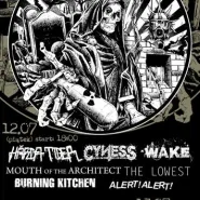 D.I.Y. Hardcore Punk Fest Vol. 9