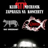 Koncerty: D'Dorsh (Olsztyn) oraz Kot Kreskowy (3city)