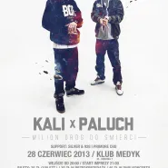 Kali / Paluch - koncert w Medyku