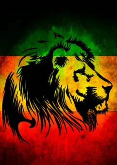Reggae party