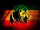 Reggae party