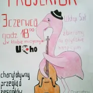 Projektor 2013