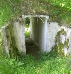 W poszukiwaniu zapomnianych fortyfikacji w okolicach Żukowa