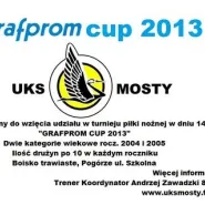 Grafprom Cup 2013