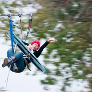 Extreme Ironing