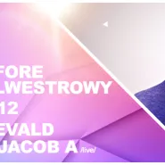 Before Sylwestrowy