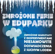 Zmrożone Warsztaty 1 w EduParku