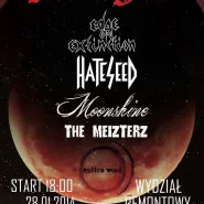 Moonfest: Edge Of Extinction, Hateseed, Moonshine, The Meizterz, Rotten Wood