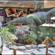 Tropem Dinozaurów