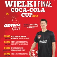 Coca-Cola Cup 2014