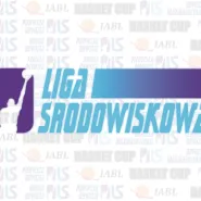 Liga Środowiskowa 2013/2014