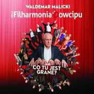 Waldemar Malicki i Filharmonia Dowcipu: Co tu jest grane