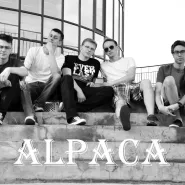 Alpaca