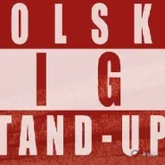 Polska Liga Stand-upu