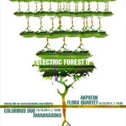 Electric Forest II