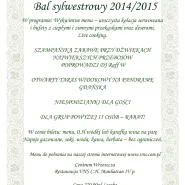 Bal sylwestrowy 2014/2015
