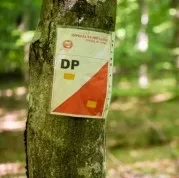Gdańskie Biegi Parkowe na Orientację Almanak