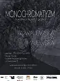 Monochromatyzm