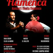 La Noche Flamenca