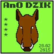 Alternatywna Impreza na Orientację Dzik 2015