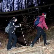 Wędrówka do Kalwarii Matemblewskiej