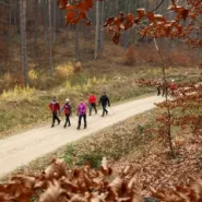 Wędrówka przez tajemnicze Wzniesienie Marii