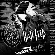 Mocna niedziela vol.3 - Fake Logic, Hateseed oraz Dead Saint's Bitch