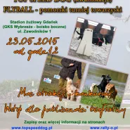 Rally-O / Top Speed Dog / Flyball