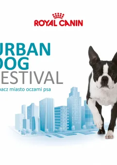 Urban Dog Festival