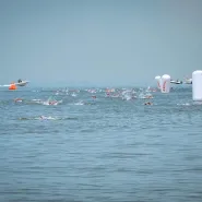 Timex Cup - Wyścig pływacki dookoła Mola