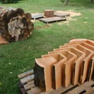3. Międzynarodowy Plener Rzeźby z Drewna