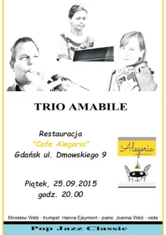 Trio Amabile - pop jazz classic