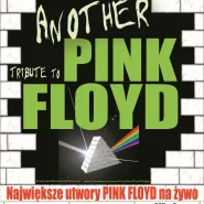 Another Pink Floyd