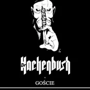 Dr. Hackenbush + Co
