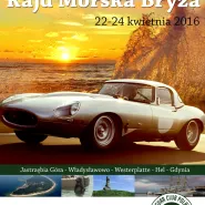 Wystawa samochodów marki Jaguar