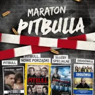 Nocny Maraton Filmowy - Maraton Pitbulla