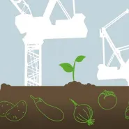Urban Farm Stocznia Gdańsk