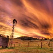 AL-Music, country, folk, pop.