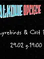 The Lyrebirds & Colt Reflection
