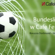 Borussia Dortmund - Hoffenheim - relacja live