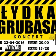 Koncert Łydka Grubasa + StoneRiver