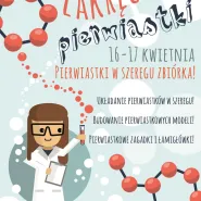 Hewelianum poruszy układ pierwiastkowy